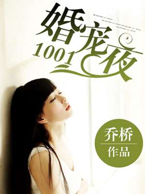 婚寵1001夜小说封面