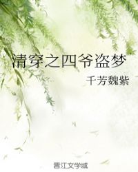 清穿之四爺盜夢小说封面