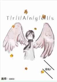 TriAngels小说封面