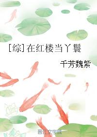 [綜]在紅樓儅丫鬟小说封面
